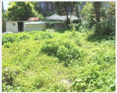  2024Ÿ��106187 �泲 â���� ��â�� ���� ���Ḯ 231-11     ����(����)���