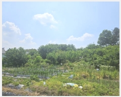  2024Ÿ107364 泲 â â  ϵ 506     (1)