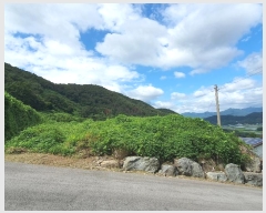  2024Ÿ��111028  �Ӿ߰��