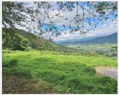  2024Ÿ��111028  �Ӿ߰��