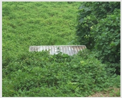  2024Ÿ��111028  �Ӿ߰��