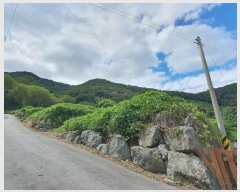  2024Ÿ��111028  �Ӿ߰��