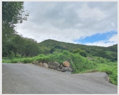  2024Ÿ��111028  �Ӿ߰��