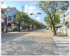  2024Ÿ111110 泲 ؽ ȷ 244, 8 13 1302ȣ (浿,ϾƮ)   Ʈ