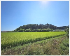  2024Ÿ112106 泲 â â  Ḯ 302-5     ()