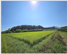  2024Ÿ112106 泲 â â  Ḯ 302-5     ()