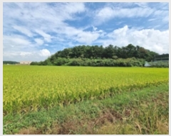  2024Ÿ112106 泲 â â  Ḯ 302-5     ()