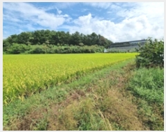  2024Ÿ112106 泲 â â  Ḯ 302-5     ()