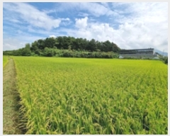  2024Ÿ112106 泲 â â  Ḯ 302-5     ()