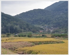  2024Ÿ��113840 �泲 â���� ���ر� ���嵿 15-74      ����(��)���