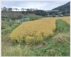  2024Ÿ��113840 �泲 â���� ���ر� ���嵿 15-74      ����(��)���