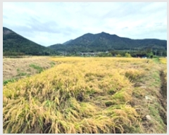  2024Ÿ��113840 �泲 â���� ���ر� ���嵿 15-74      ����(��)���