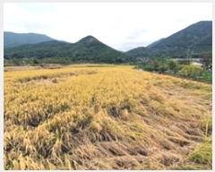  2024Ÿ��113840 �泲 â���� ���ر� ���嵿 15-74      ����(��)���