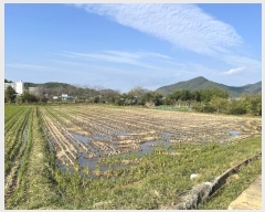  2024Ÿ��114836 �泲 â���� ��â�� �ϸ� ȭõ�� 528-6     ����(��)���