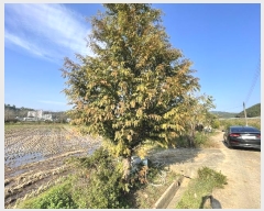  2024Ÿ��114836 �泲 â���� ��â�� �ϸ� ȭõ�� 528-6     ����(��)���