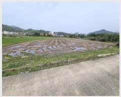  2024Ÿ��114836 �泲 â���� ��â�� �ϸ� ȭõ�� 528-6     ����(��)���