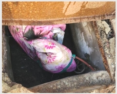  2024Ÿ��115631 �泲 â���� ���걸 ���̴��883���� 15-24, �󰡵� 5�� 12ȣ (������,����������Ʈ)  ��,�繫�ǰ��