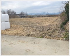  2024Ÿ��115815 �泲 ���ؽ� ���赿 287-10       �ܵ�����,�����ð��