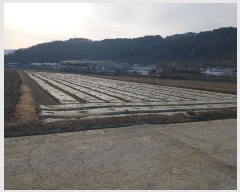  2024Ÿ��115815 �泲 ���ؽ� ���赿 287-10       �ܵ�����,�����ð��