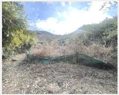  2024Ÿ116818 泲 ؽ  °︮ 148      ()