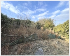  2024Ÿ116818 泲 ؽ  °︮ 148      ()