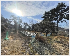  2024Ÿ116818 泲 ؽ  °︮ 148      ()