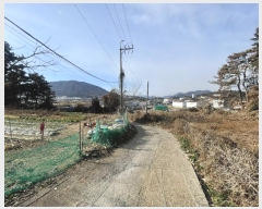  2024Ÿ116818 泲 ؽ  °︮ 148      ()