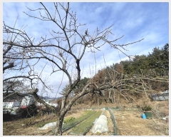  2024Ÿ116818 泲 ؽ  °︮ 148      ()