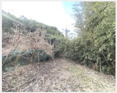  2024Ÿ116818 泲 ؽ  °︮ 148      ()