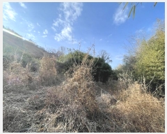  2024Ÿ116818 泲 ؽ  °︮ 148      ()