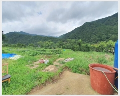  2024Ÿ3752 泲 ؽ û 800-241       ()