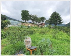  2024Ÿ3752 泲 ؽ û 800-241       ()