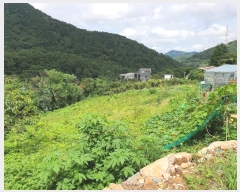  2024Ÿ3752 泲 ؽ û 800-241       ()