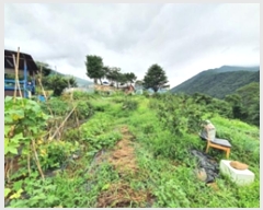  2024Ÿ3752 泲 ؽ û 800-241       ()