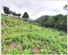  2024Ÿ3752 泲 ؽ û 800-241       ()