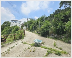  2024Ÿ4014 泲 ؽ 뵿 ȸ 573      ü