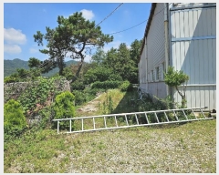  2024Ÿ4014 泲 ؽ 뵿 ȸ 573      ü