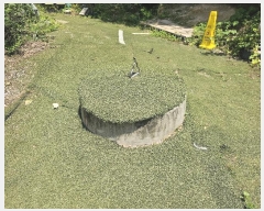  2024Ÿ4014 泲 ؽ 뵿 ȸ 573      ü