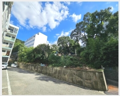  2024Ÿ��6409  �������