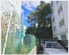  2024Ÿ��6409  �������