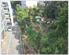  2024Ÿ��6409  �������