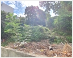  2024Ÿ��6409  �������