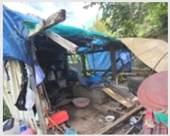  2024Ÿ��6409  �������