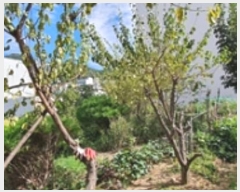  2024Ÿ��6409  �������