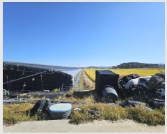  2024Ÿ6775 泲 â â  Ϻθ 662     ()