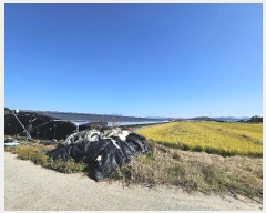  2024Ÿ6775 泲 â â  Ϻθ 662     ()