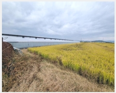  2024Ÿ6775 泲 â â  Ϻθ 662     ()