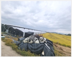  2024Ÿ6775 泲 â â  Ϻθ 662     ()