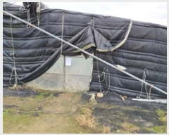  2024Ÿ6775 泲 â â  Ϻθ 662     ()