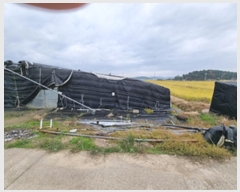  2024Ÿ6775 泲 â â  Ϻθ 662     ()